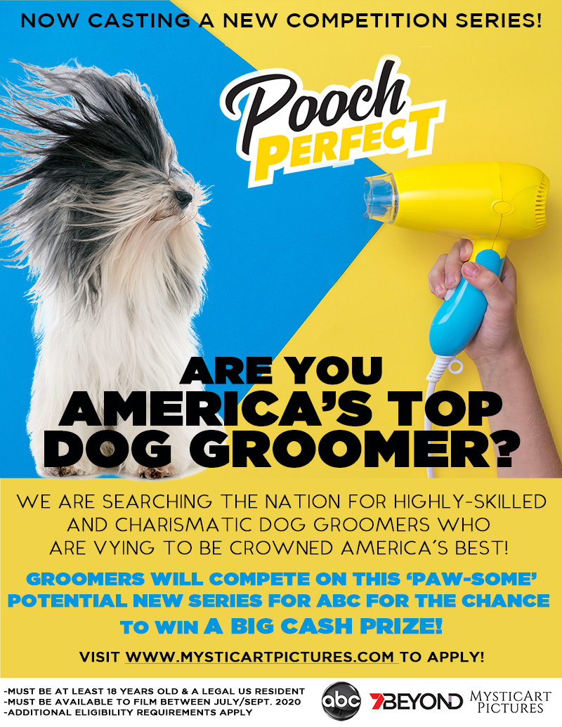 Mysticart Pictures Casting Pooch Perfect Groomers
